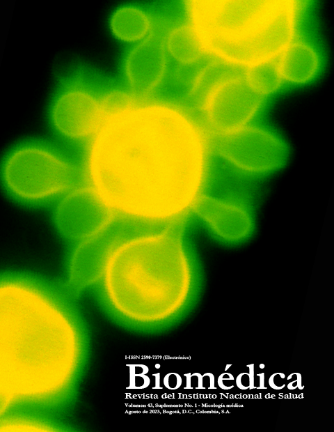 					Ver Vol. 43 Núm. 1 (2023)
				